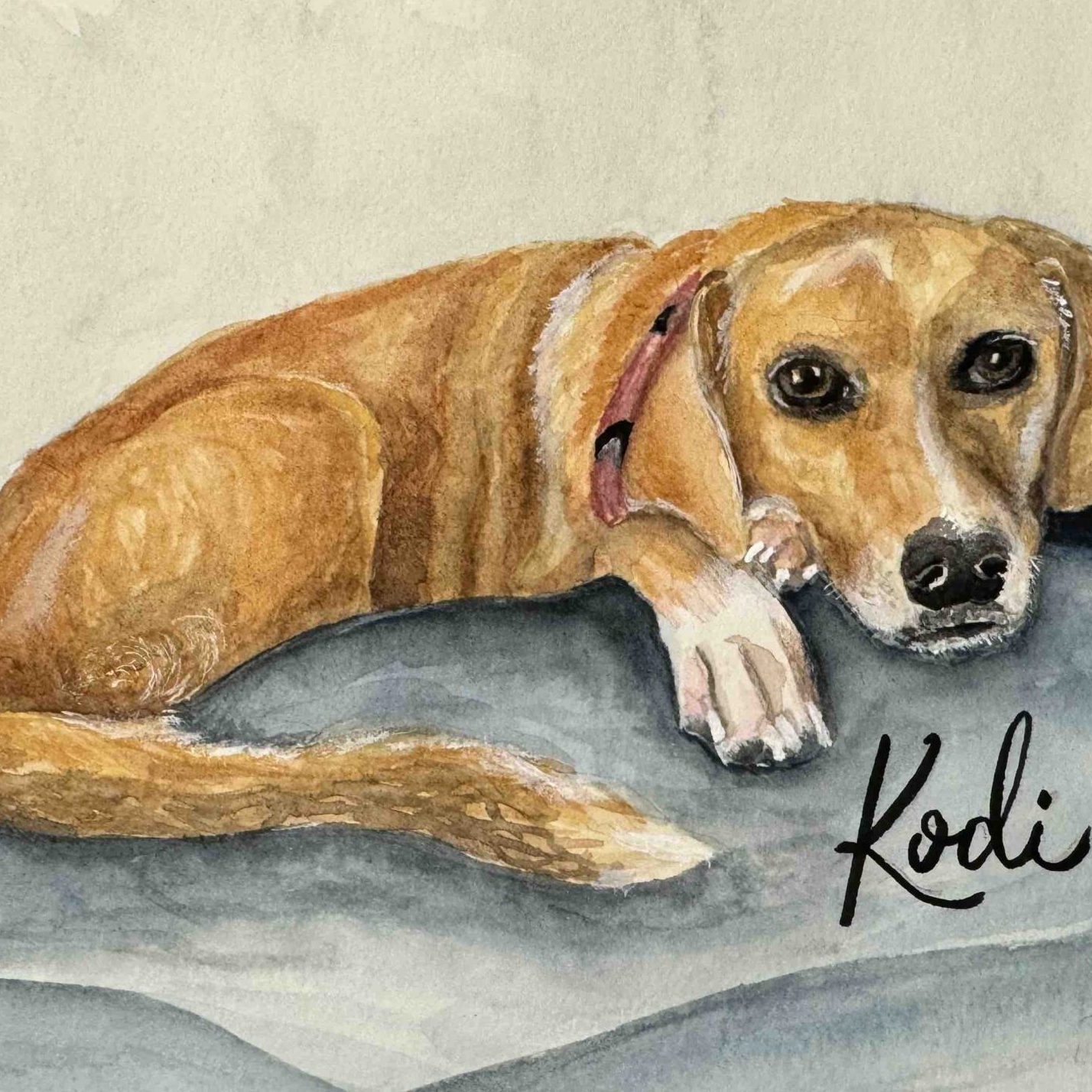 Portrait of Cocker Spaniel on Beach