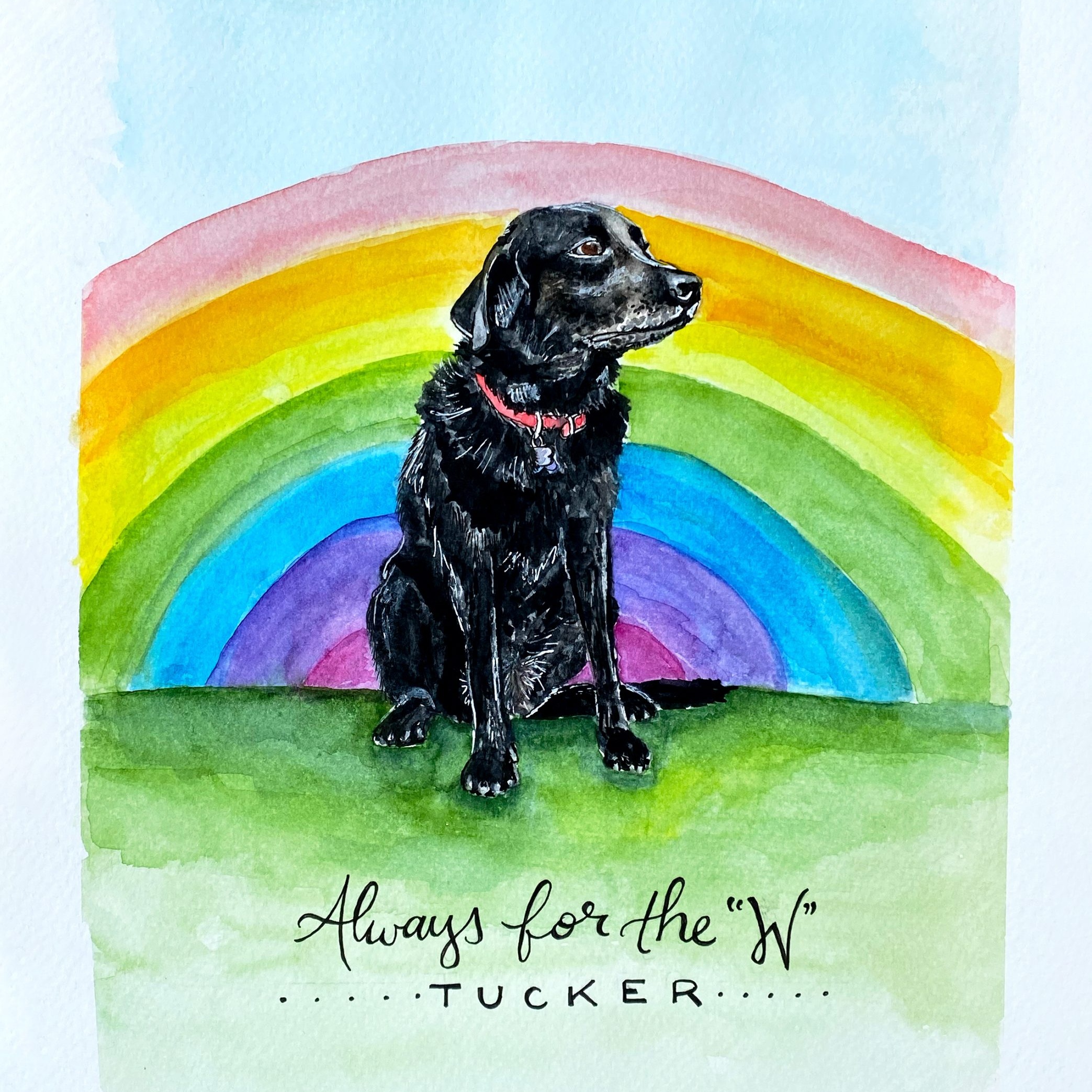 Black Lab in front of a rainbow
