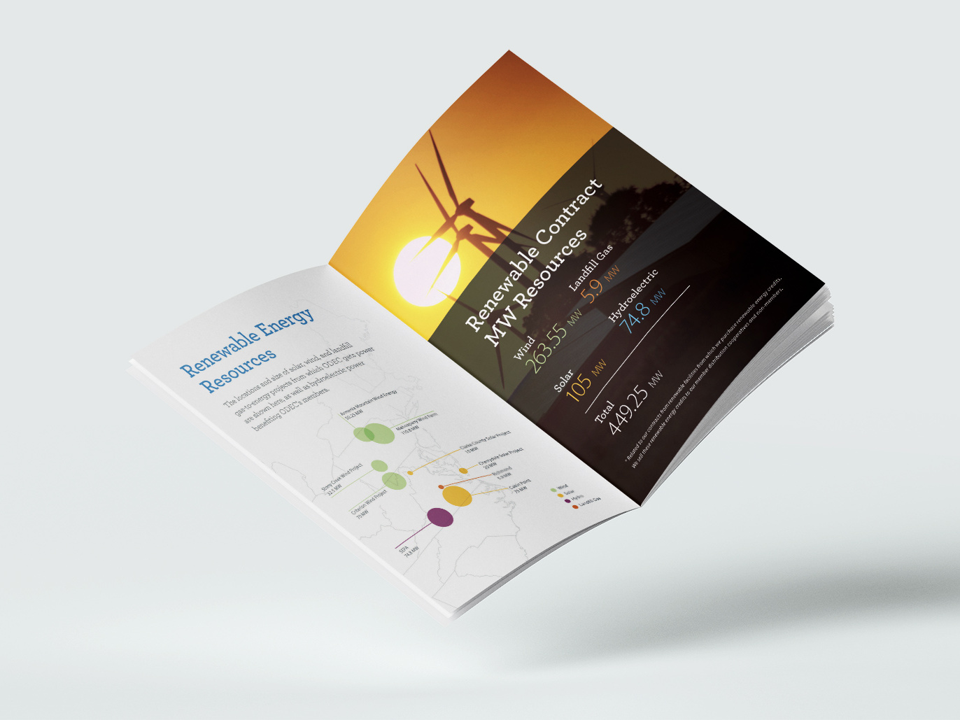 ODEC Brochure2 1