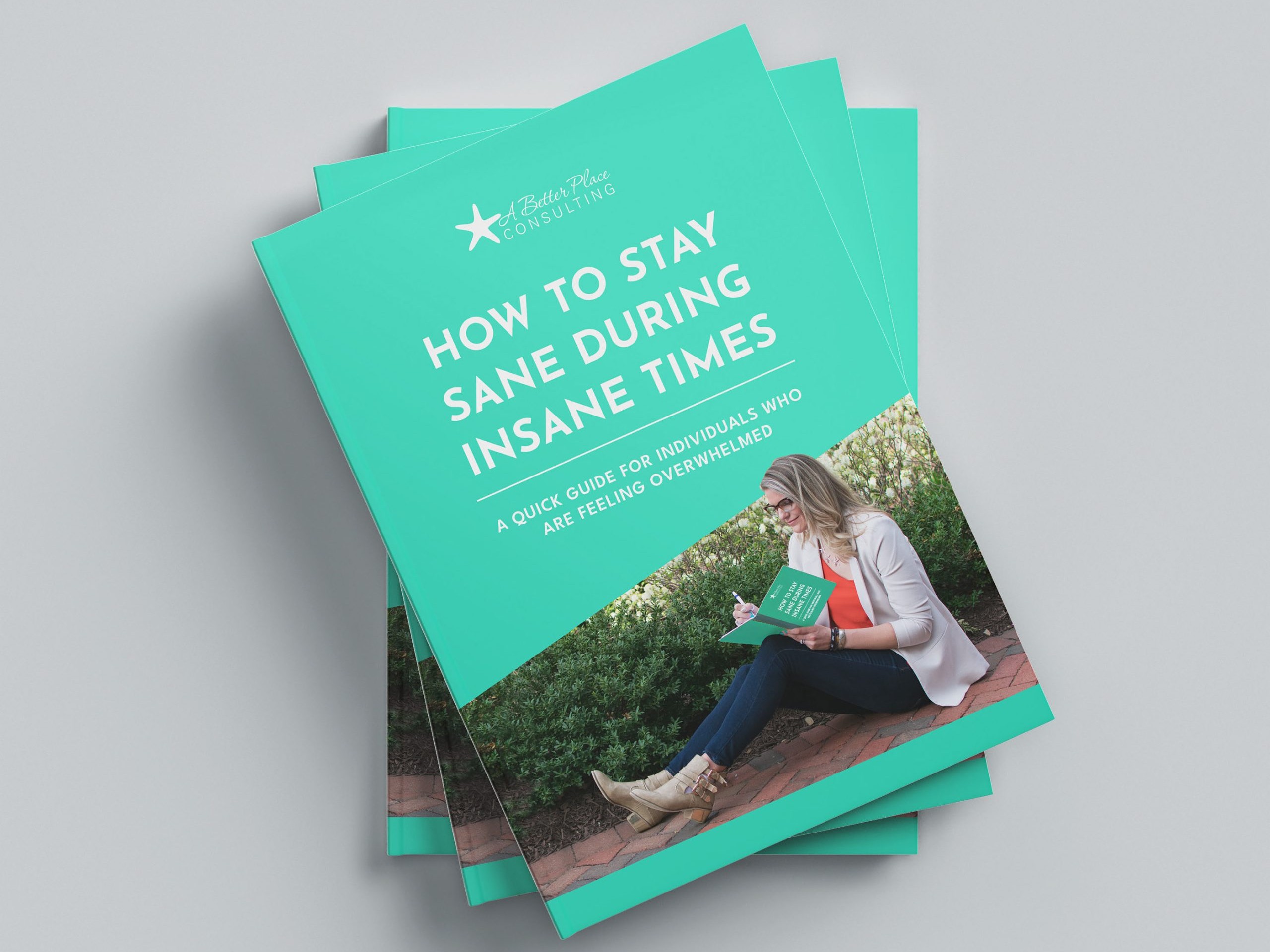 A Better Place Consulting eBook Mockup