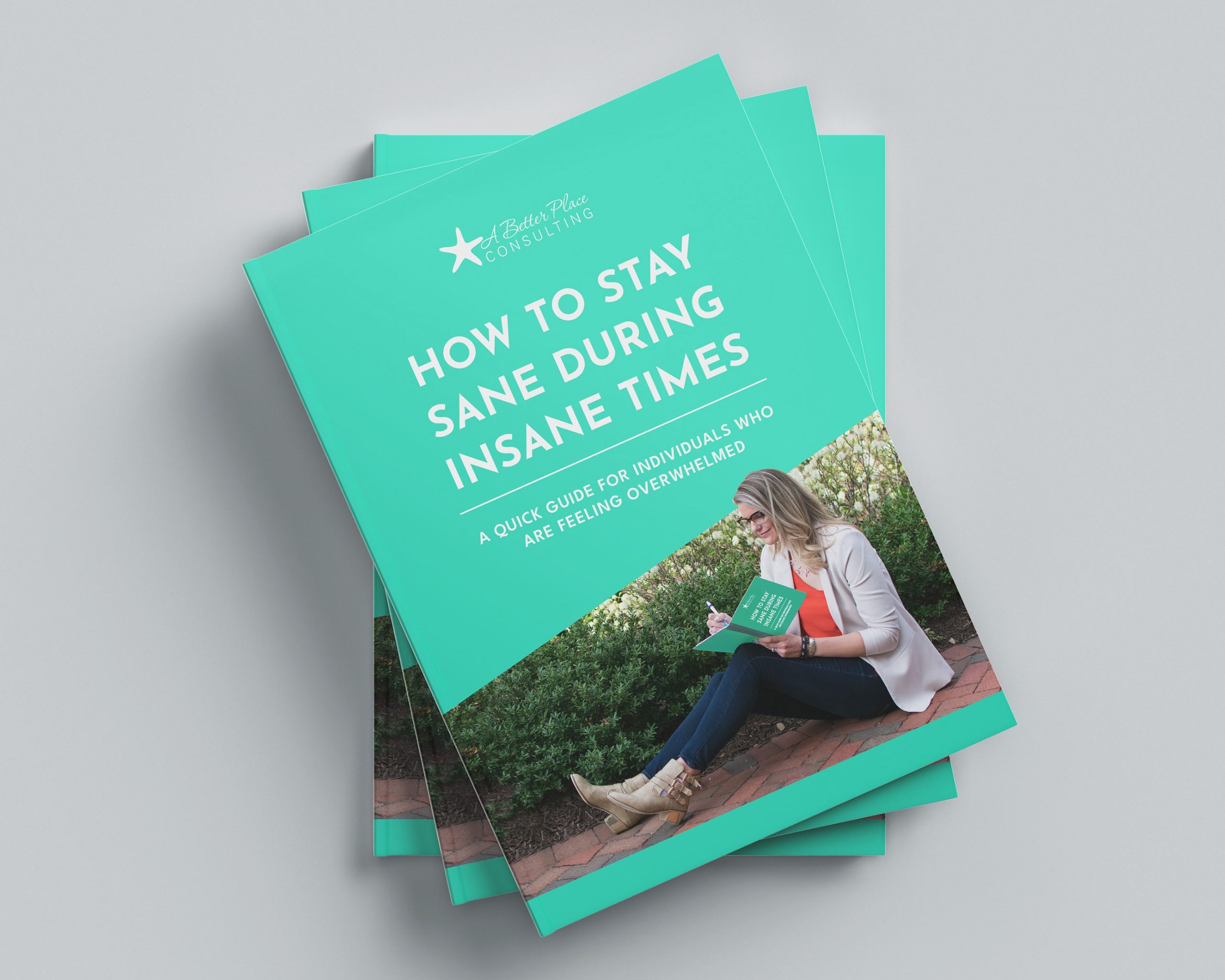 A Better Place Consulting eBook Mockup