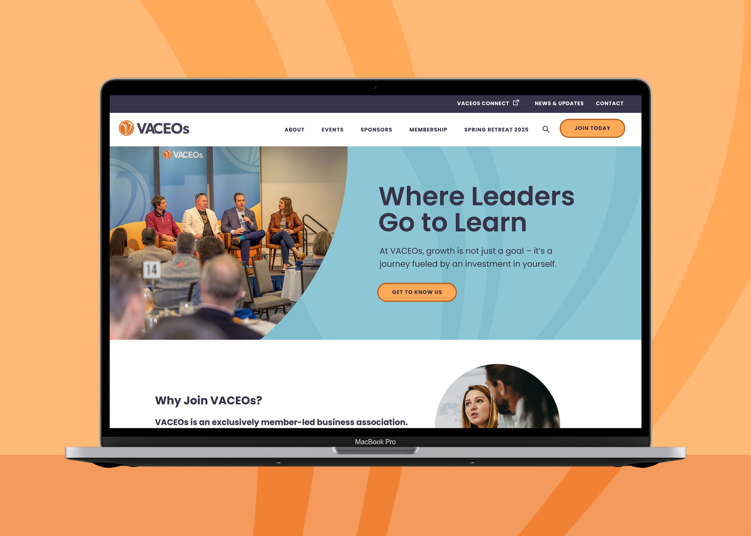 VACEOs Website
